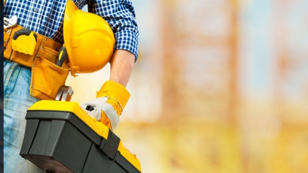 Exploring Pest Control Services Across the UAE by Perfection Cleaning